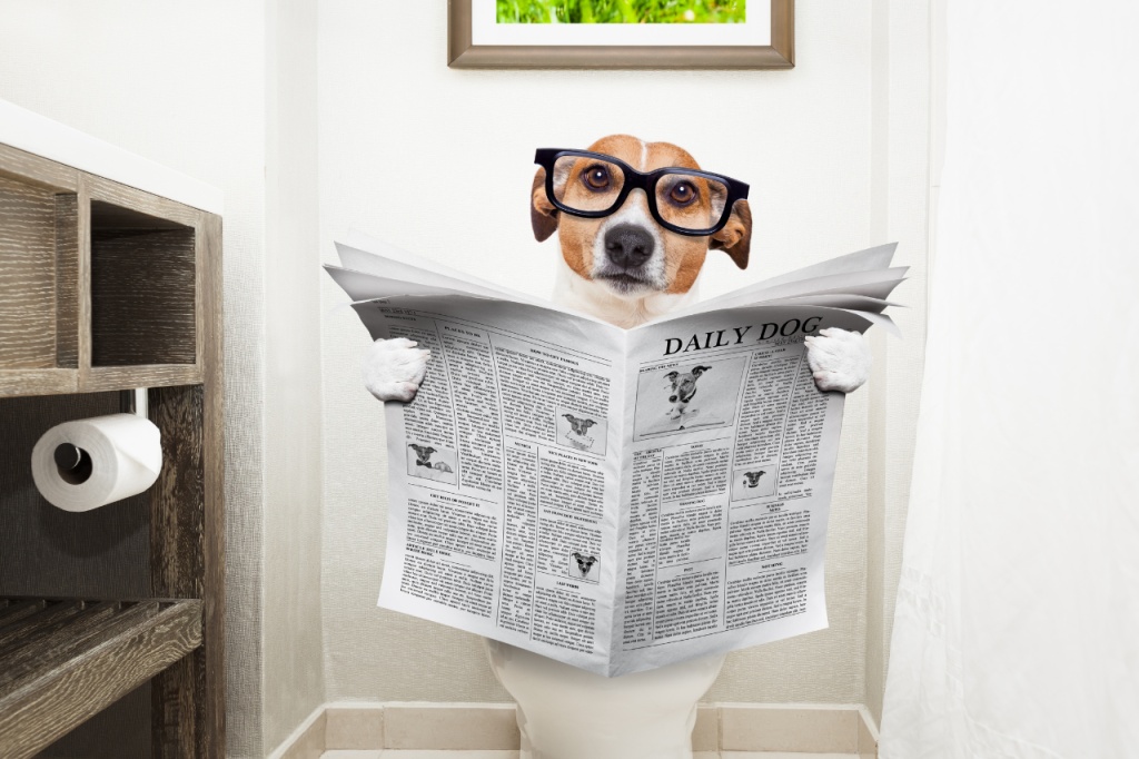 Relieve constipation naturally