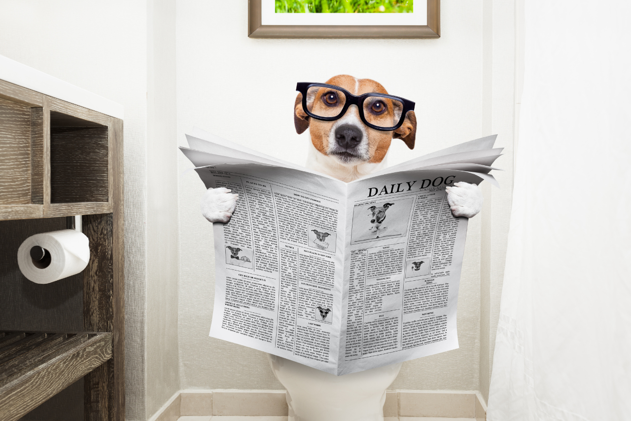 Relieve constipation naturally